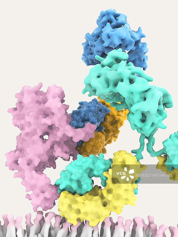 乳腺癌单克隆抗体疗法插图图片素材