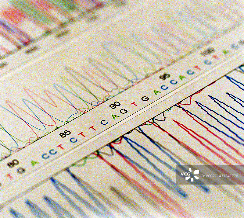 DNA分析图片素材