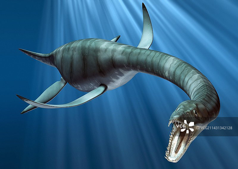 蛇颈龙袭击艺术作品图片素材