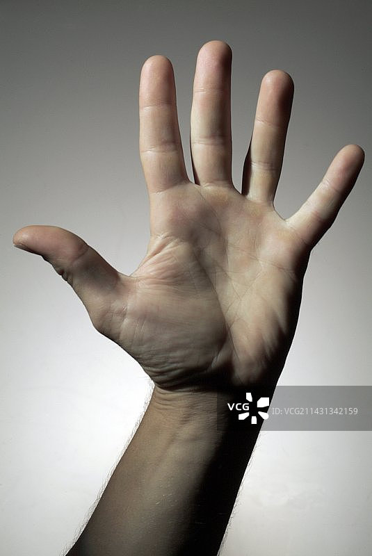 张开的手掌图片素材