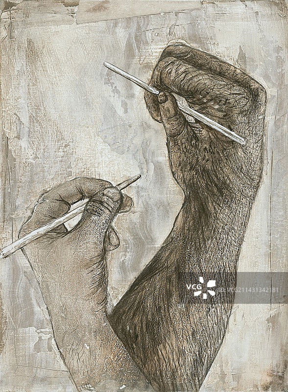 南方古猿和黑猩猩的手图片素材