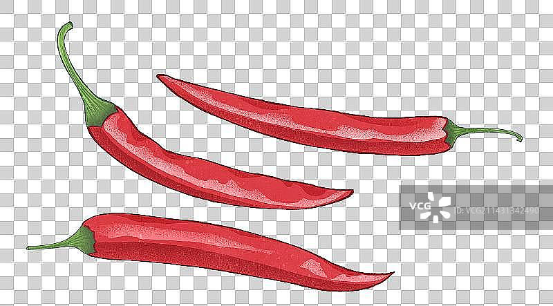 有机红辣椒火锅食品香料蔬菜插画元素图片素材