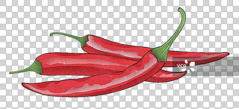 有机红辣椒火锅食品香料蔬菜插画元素图片素材