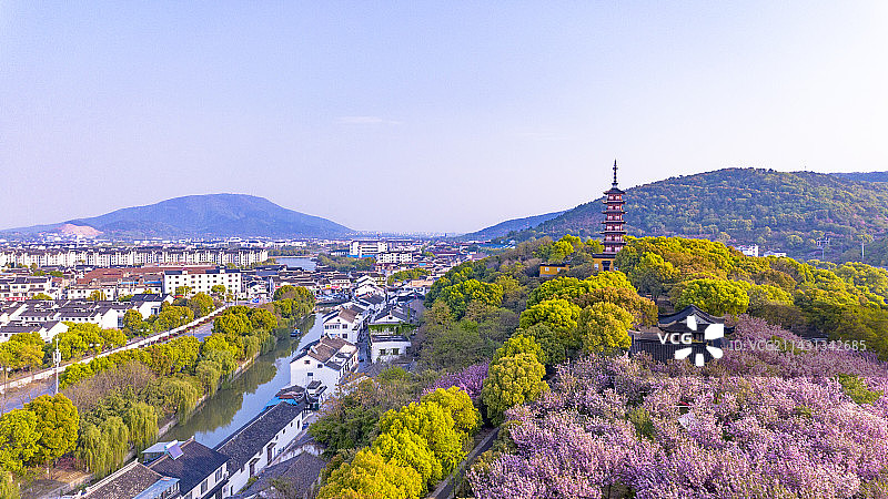 航拍苏州吴中光福铜观音寺晚春樱花林风光图片素材