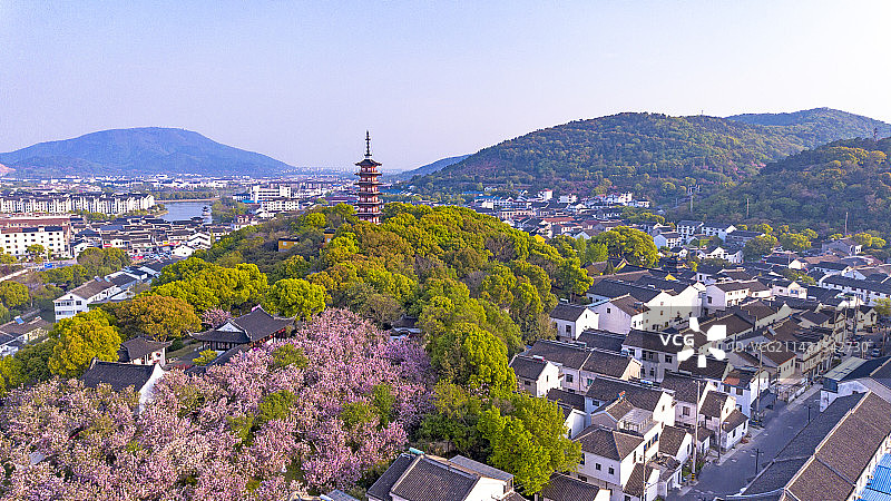 航拍苏州吴中光福铜观音寺晚春樱花林风光图片素材