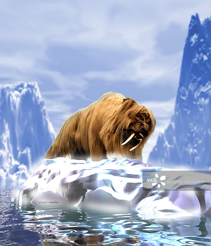 剑齿虎图片素材