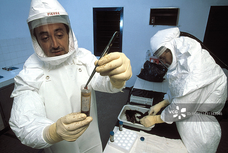 埃博拉病毒研究图片素材