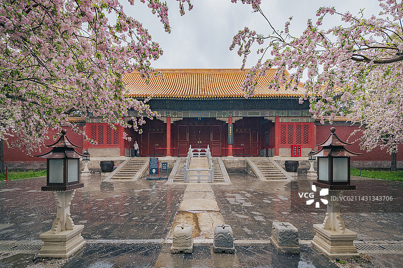 文华殿丁香花开图片素材