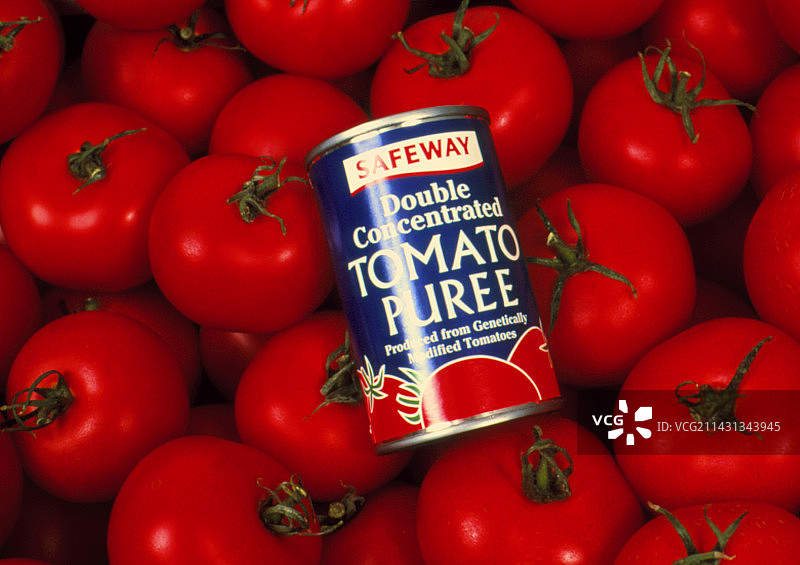 番茄果泥图片素材