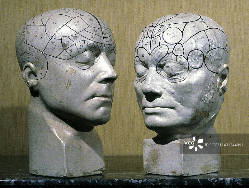 让·夏科的颅相学模型图片素材