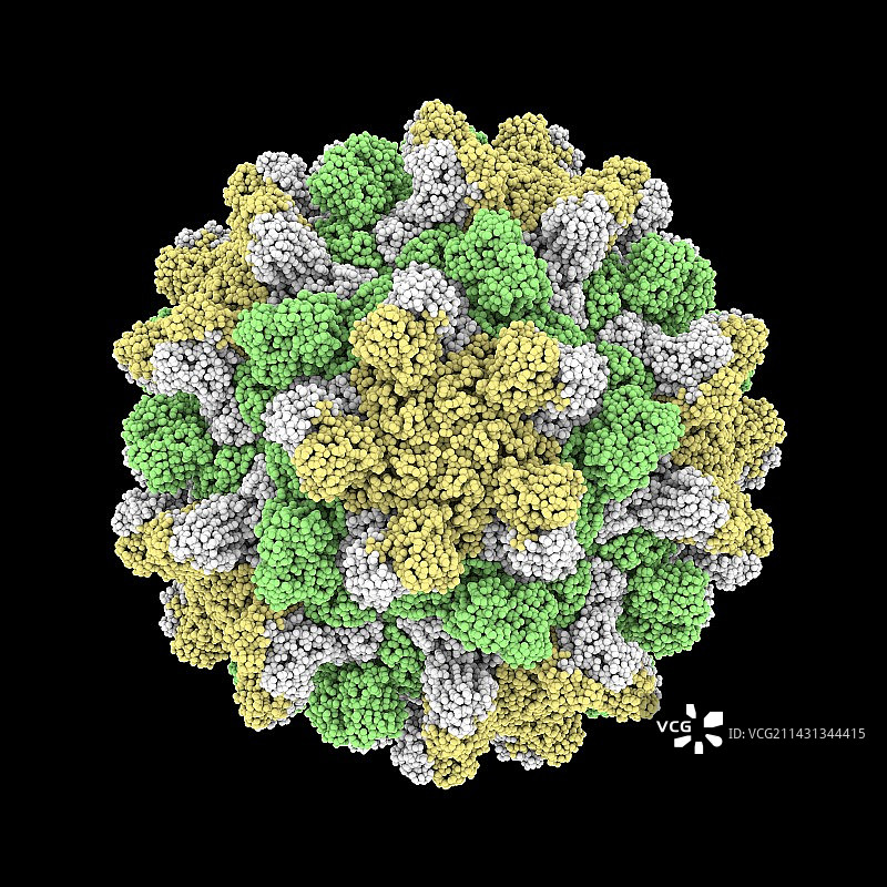 番茄丛矮病毒分子模型图片素材