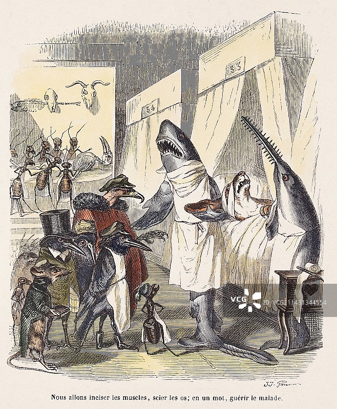 1842年外科医生鲨鱼形象图片素材