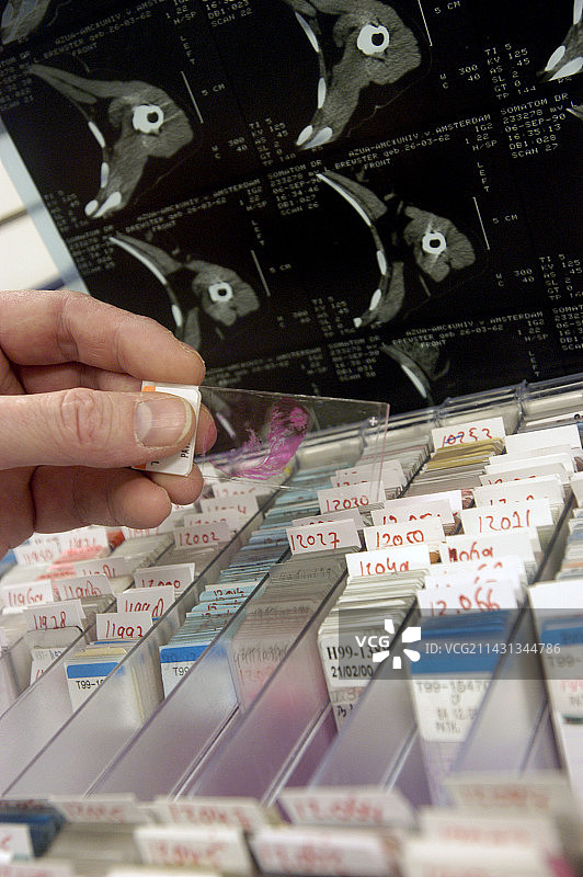 组织学显微镜载玻片图片素材