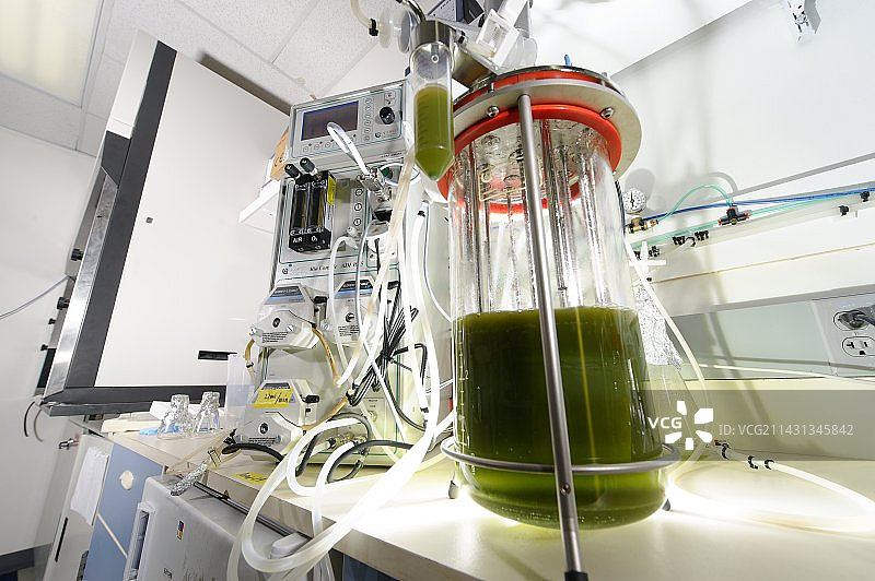 藻类发酵生物反应器图片素材