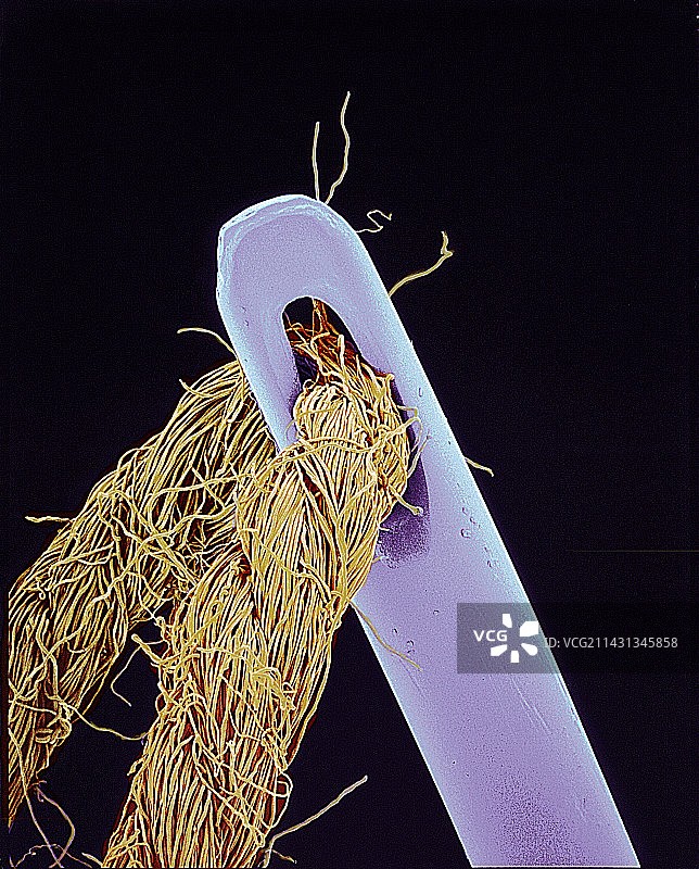 针和线扫描电镜图图片素材