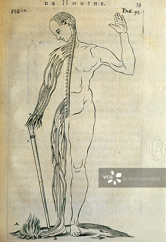 神经系统对疼痛反应雕刻图图片素材