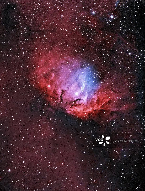 郁金香星云图片素材