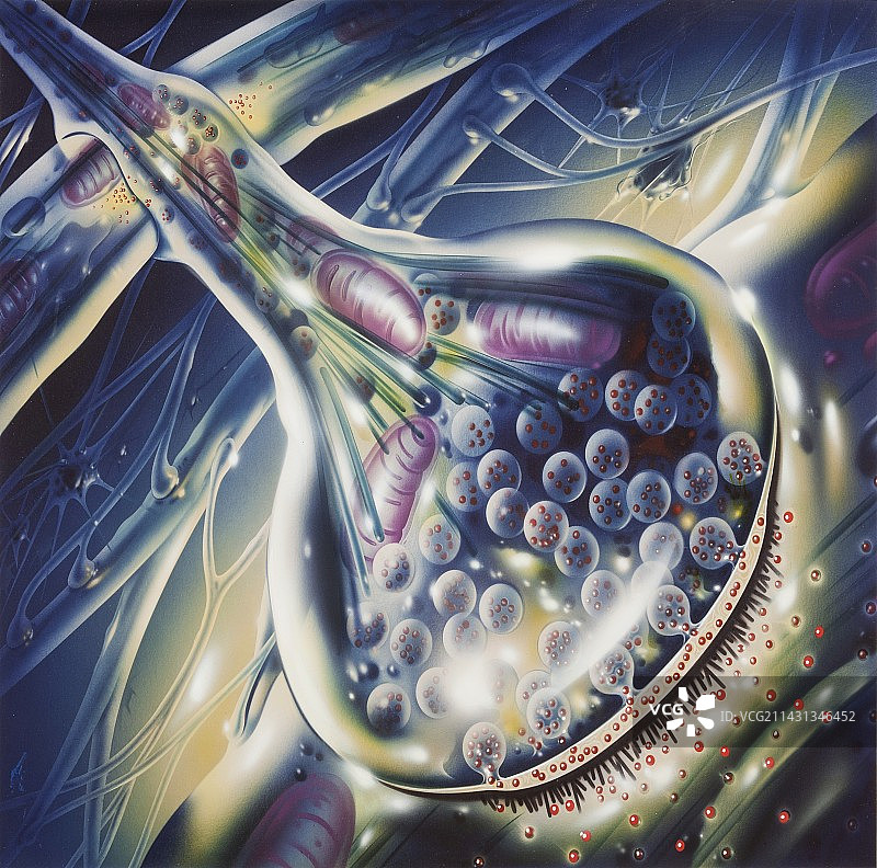 癫痫中的突触插图图片素材