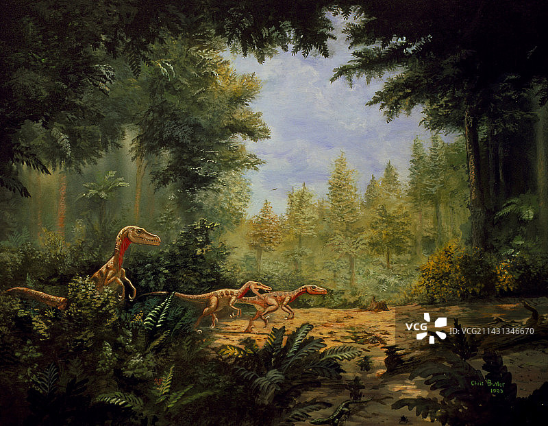 迅猛龙的艺术作品图片素材