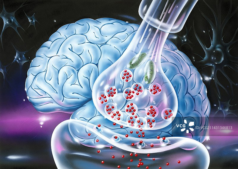 神经突触图片素材