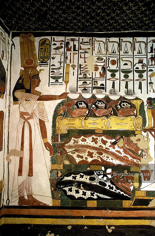 纳芙蒂蒂王后图片素材