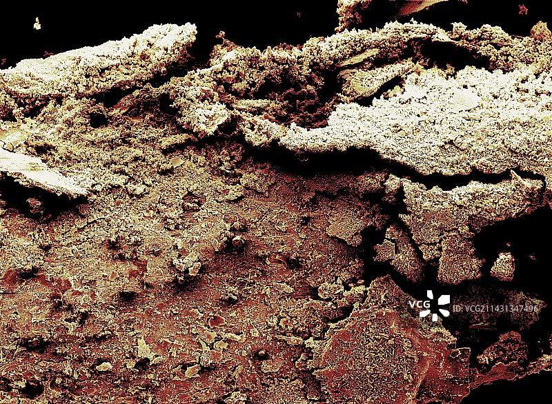 生锈的钉子图片素材