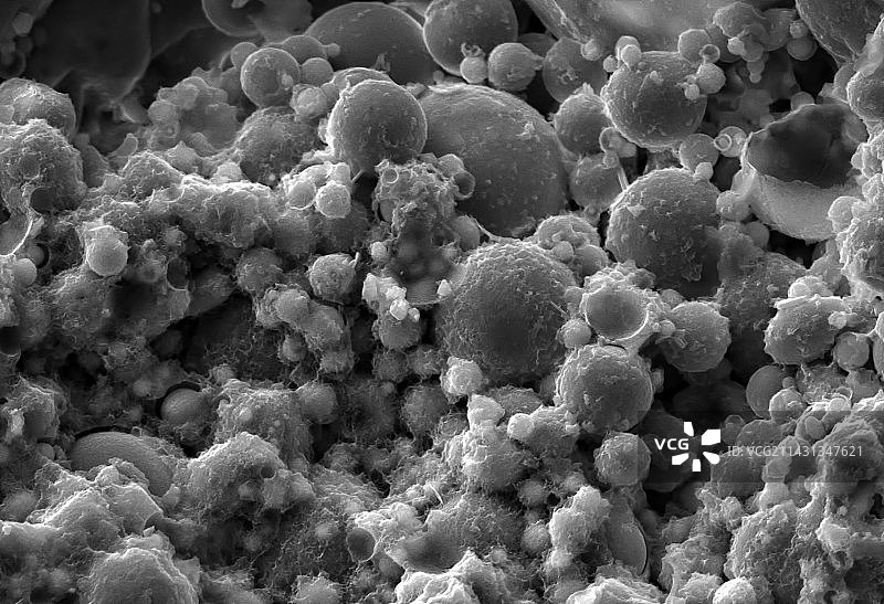 混凝土中的粉煤灰，扫描电镜图片素材