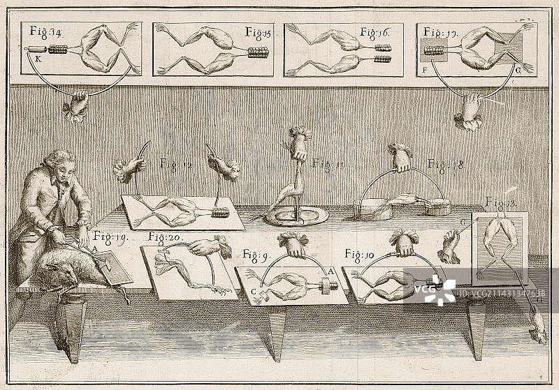 1780年代伽伐尼的电学实验图片素材