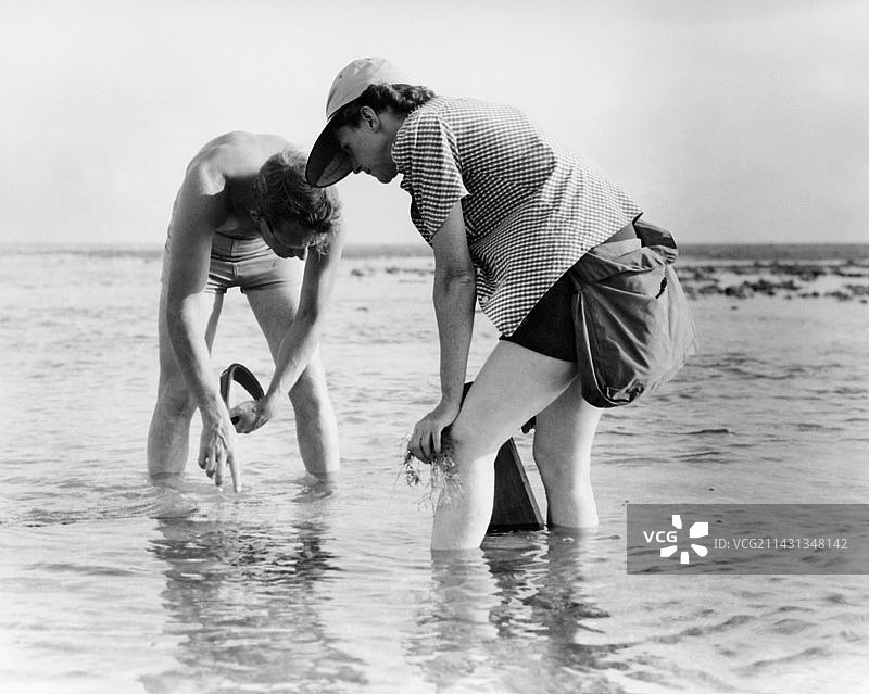 蕾切尔·卡森进行海洋研究图片素材