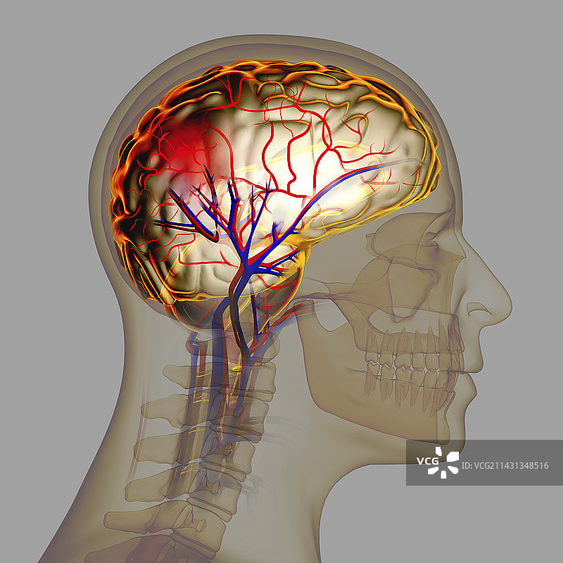 笔触插画图片素材