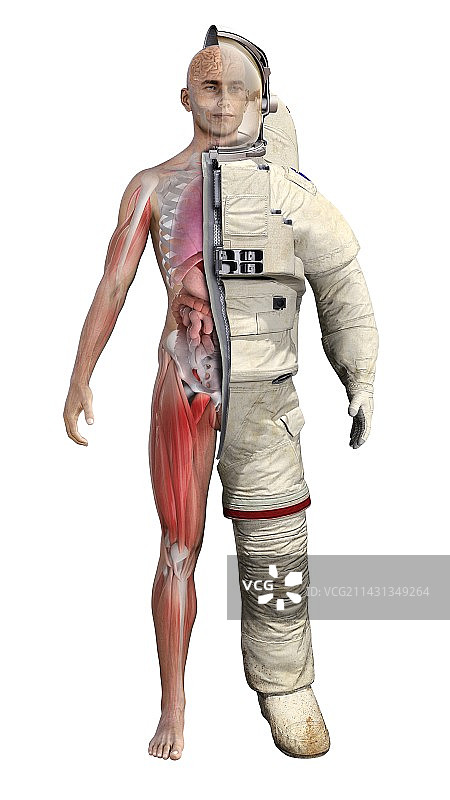 人体与火星宇航服插图图片素材