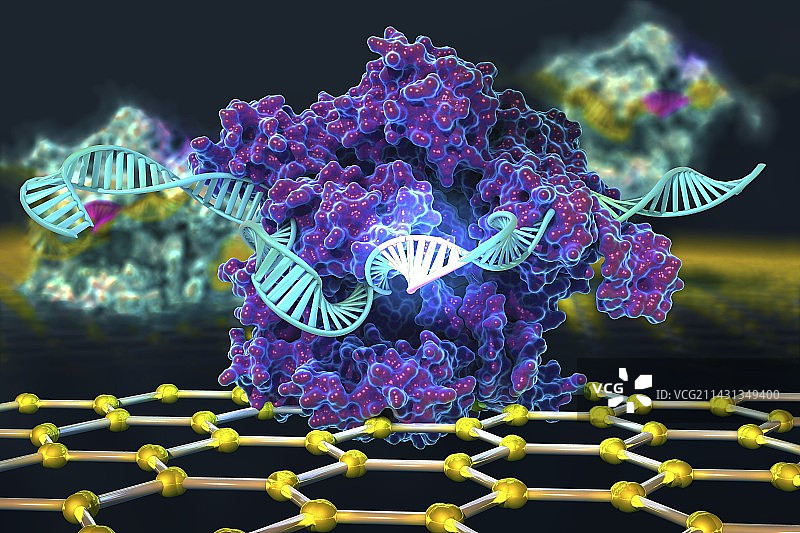 CRISPR芯片生物传感器插图图片素材