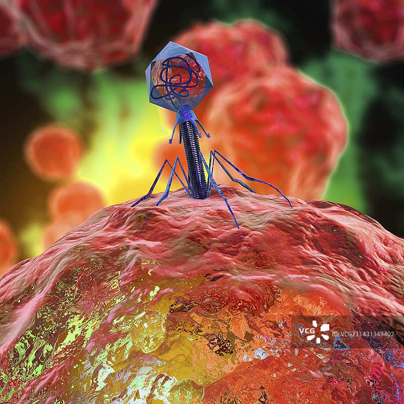 噬菌体感染细菌，图示图片素材