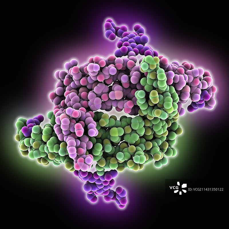 VEGF-A受体结合域图片素材