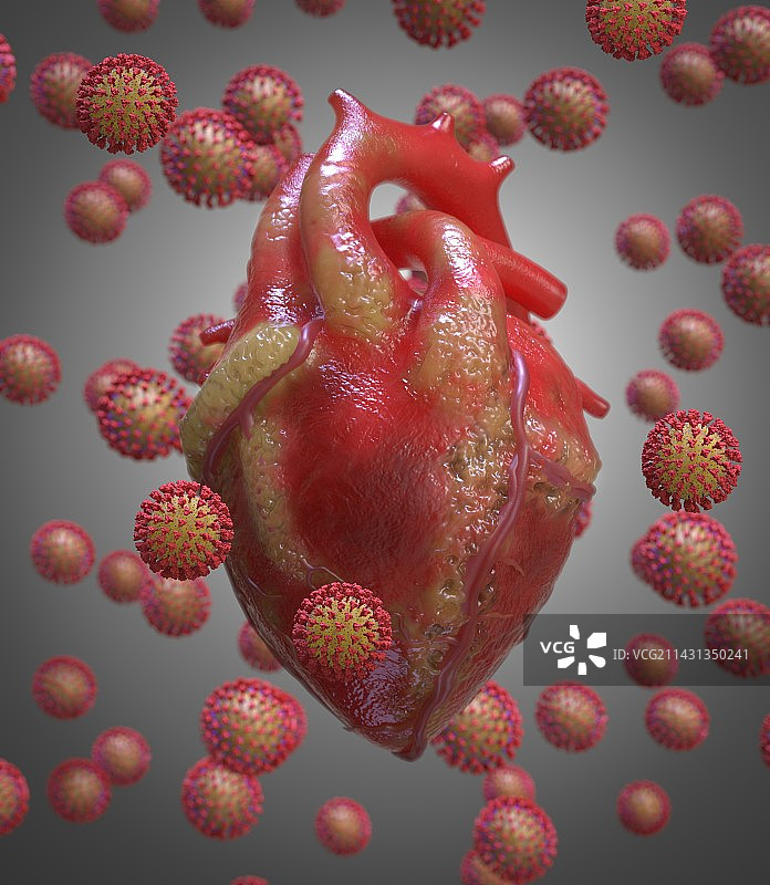 新冠长期影响下的心脏损伤概念图图片素材
