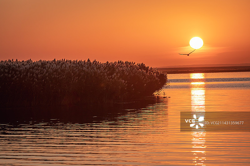 居延湖日出图片素材