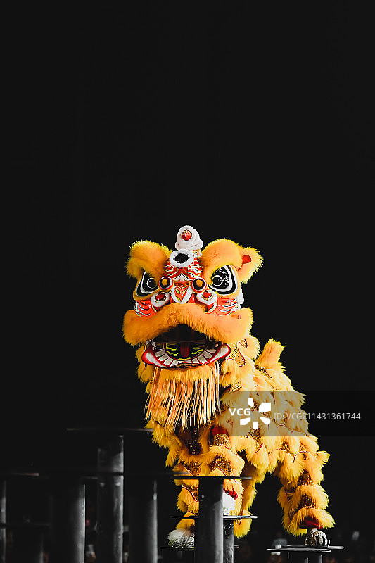 黑色背景下醒狮的特写镜头图片素材