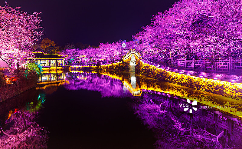 长春桥夜樱图片素材