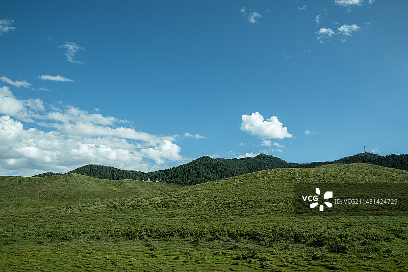 雪域羚城合作，丰美当周草原图片素材