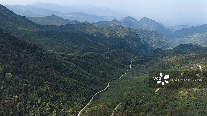 四川省乐山沐川县令牌山辛夷花图片素材