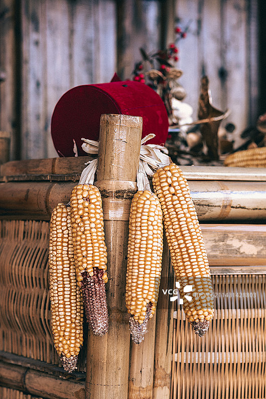 玉米棒图片素材