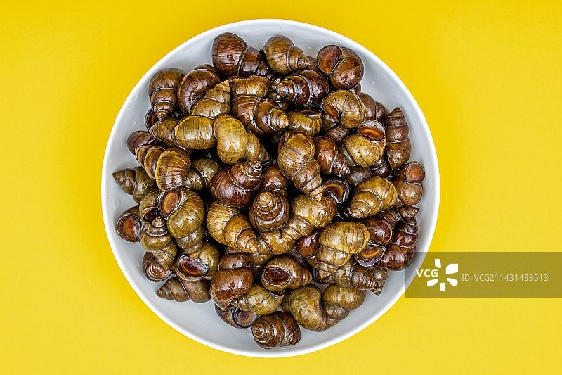 新鲜的特色田螺食材图片素材