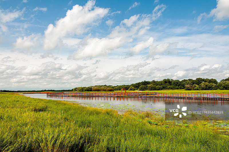 黑龙江黑瞎子岛湿地公园风光图片素材