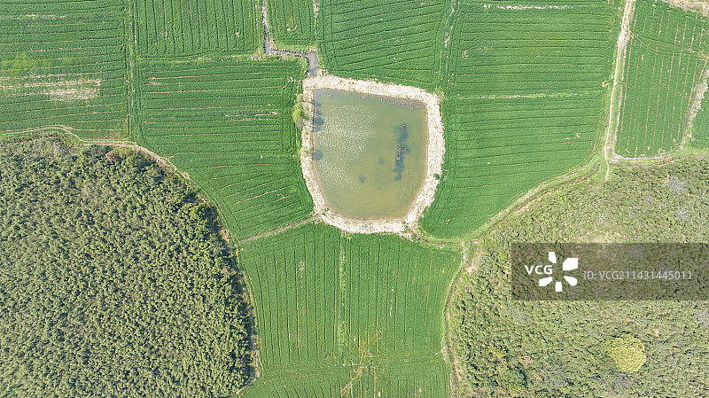 航拍湖州德清莫干溪谷森林田园风光图片素材