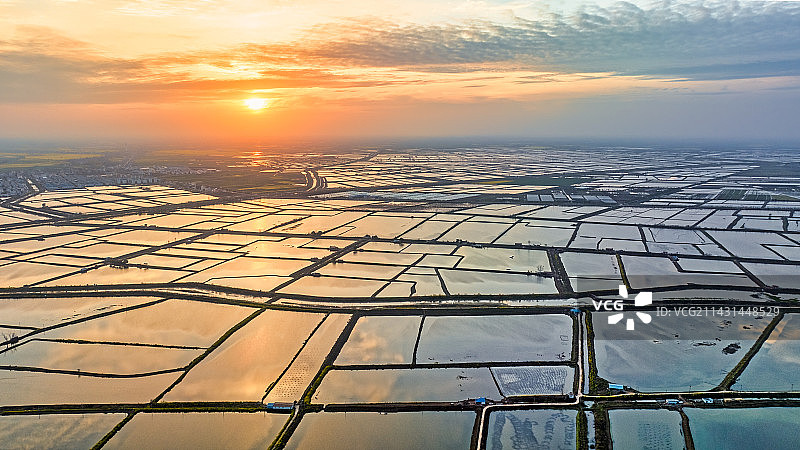 湖北江汉平原的连片养殖鱼塘与夕阳图片素材