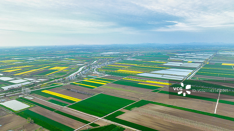 湖北武汉蔡甸消泗乡江汉平原的春耕农田图片素材