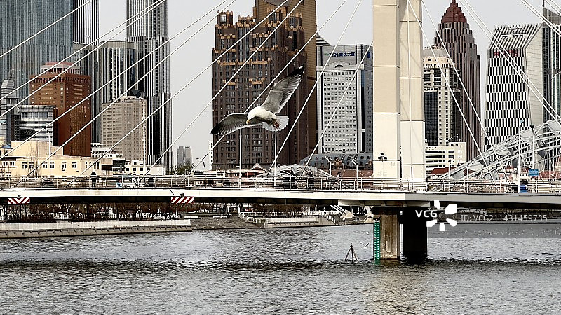天津的春图片素材
