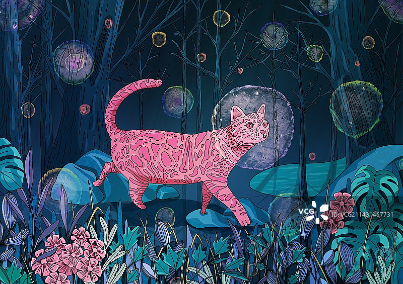 奇幻深林的猫咪图片素材