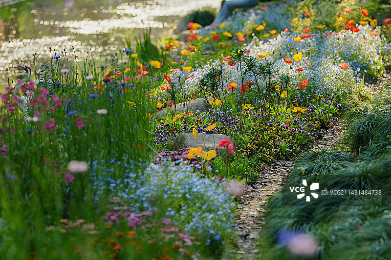 莫奈花园图片素材
