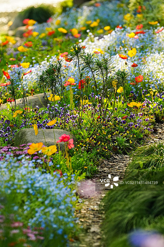 莫奈花园图片素材